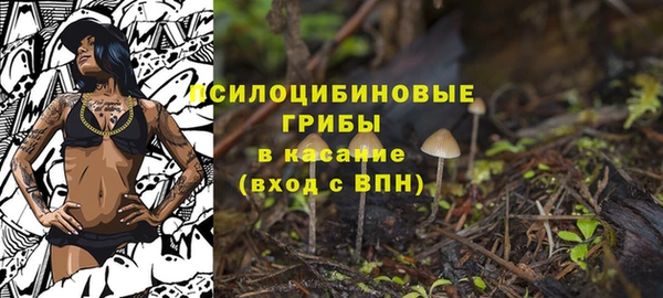 прущий лед Алексеевка