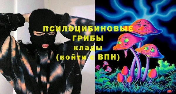 соль ск Сатка