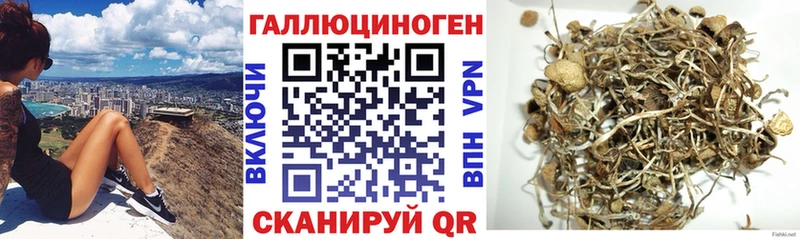 Псилоцибиновые грибы Cubensis  Сосновка 
